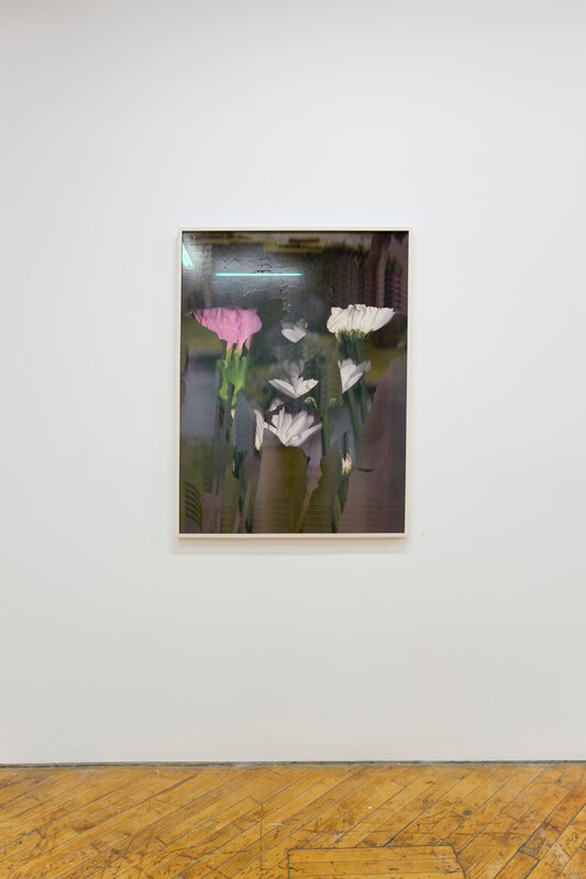 20190430 Alex Fischer Bending Towards the Sun YYZ 27 documentation